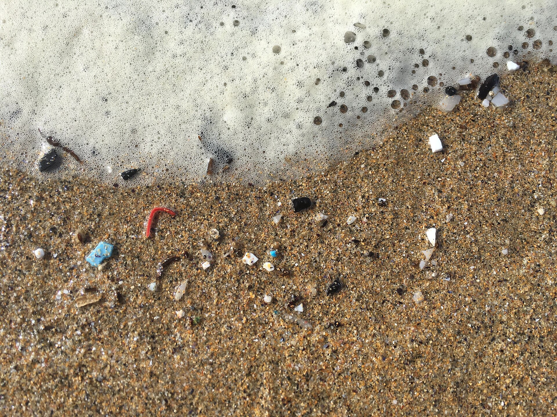 Comprendre et agir contre la pollution plastique des océans et rivières